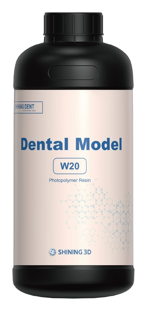 W20 — Dental Model