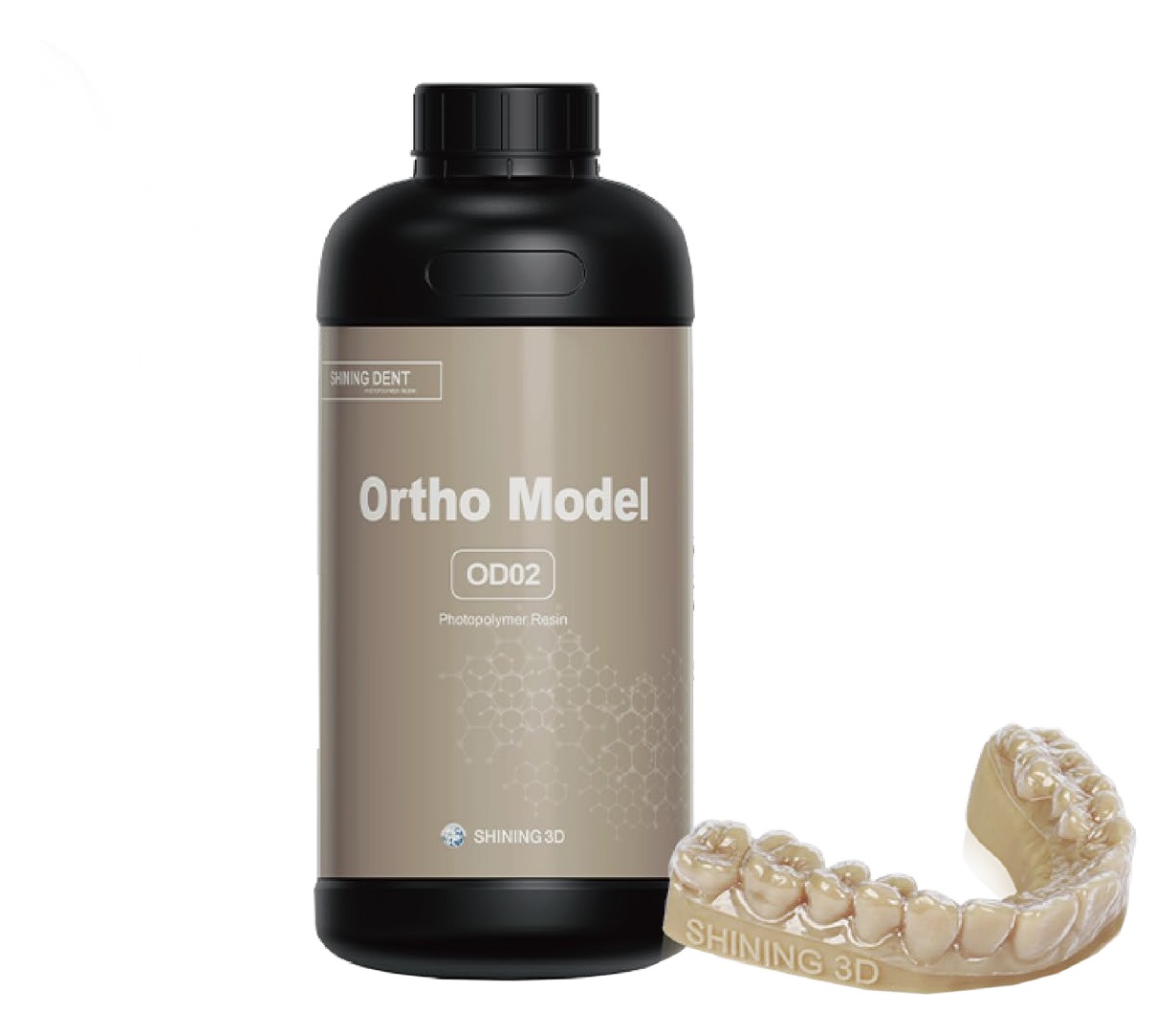 OD02 — Ortho Model